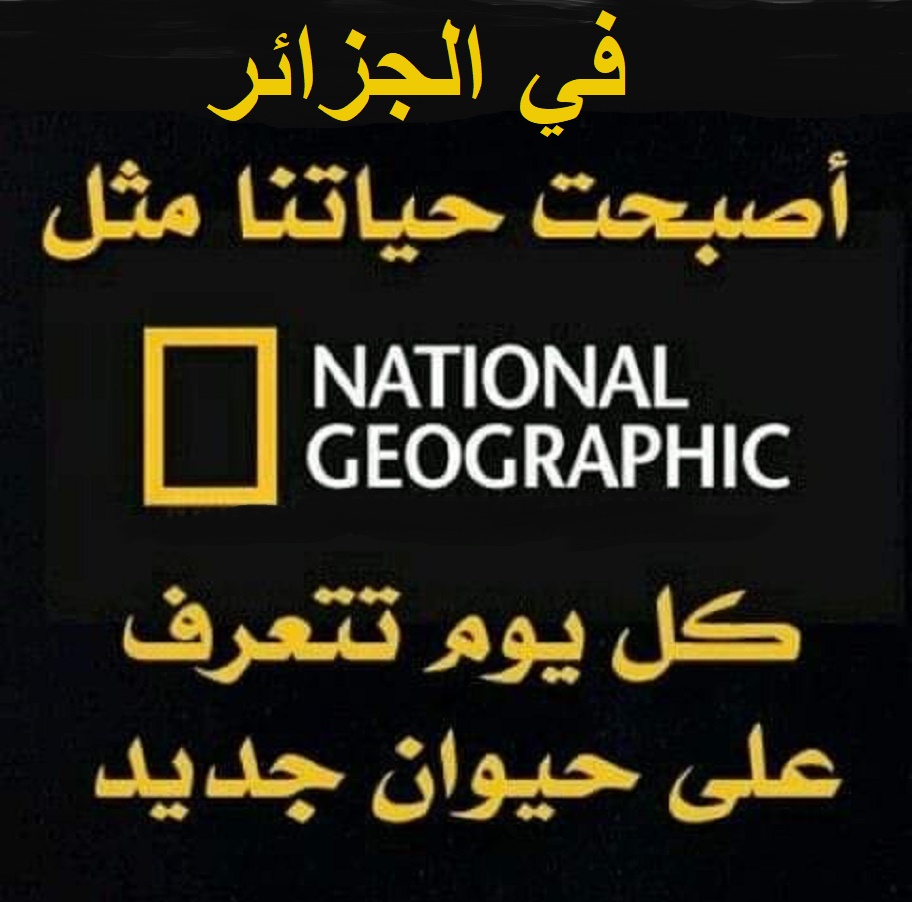 قلق داخل الأحزاب السياسية في الجزائر من تضهور الوضع الداخلي وتنامي التهديدات على الحدود